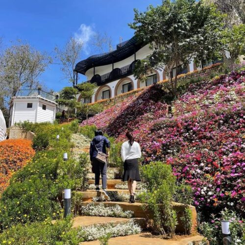 Phe Le Town Đà Lạt 17 z3872832939881 144465119c320da208dfa81d945b12cc Copy