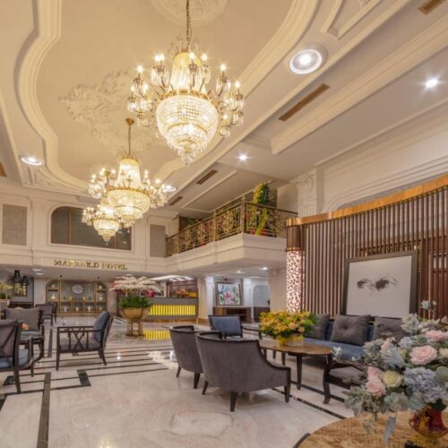 Marigold Dalat 28 302408542