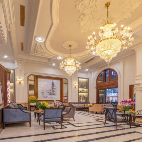 Marigold Dalat 16 302408569