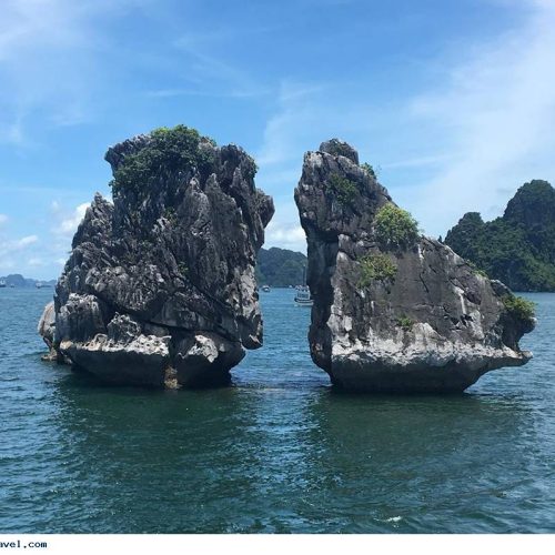 at gioi thieu hon ga choi 33979e46c9109a3a564cae4e91ccc165